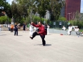 26052012_289829
