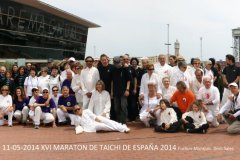 Maraton Taiji Quan 2014