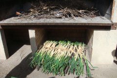 calçotada 2010