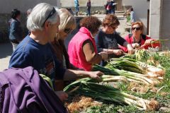 calçotada 2013