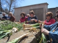 calcotada_taixi_001