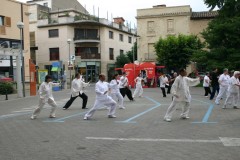 Taiji Quan La Garriga 2007