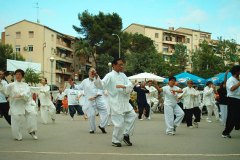 Taiji Quan Sant Boi