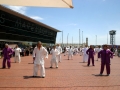 ZXM_mt2015 (7)