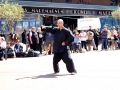 ma_mt2015 (10)