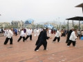 IMG_0308