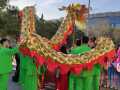 IMG-20240203-WA0014