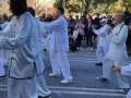 IMG_20240203_112702