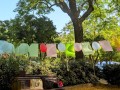 IMG-20250621-WA0017