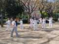 IMG-20260419-WA0002