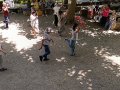 IMG_20260627_131238_resultado