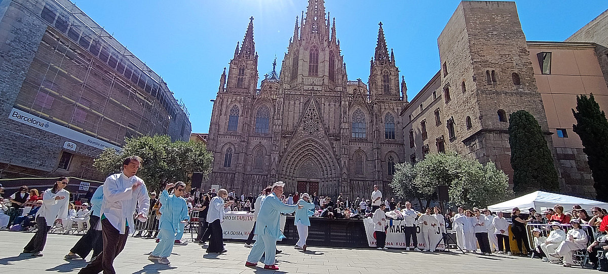 IMG_20260517_112538_resultado