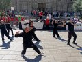 IMG_20260517_103615_resultado