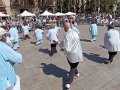 IMG_20260517_112305_resultado