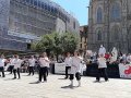 IMG_20260517_124134_resultado