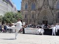 IMG_20260517_140628_resultado