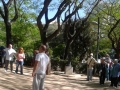 20150517_101719