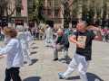 IMG-20250511-WA0019