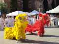 IMG-20250512-WA0037