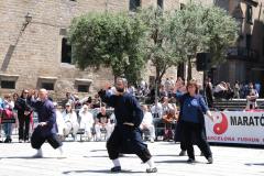 XXIV Maratón Wudang Barcelona