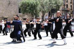 XXIV Maratón. Wudang Spain. Alex Mieza